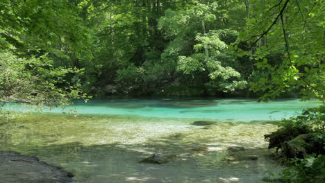 a beautiful river at bohinj, slovenia with clear and colorful water