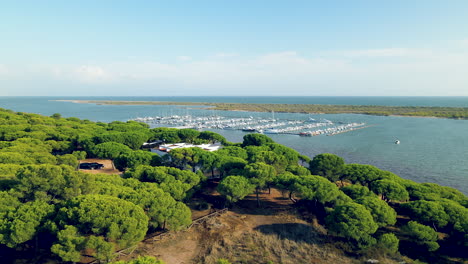 hermosa ribera de piedras y muelles con muchos yates, veleros, barcos amarrados en puerto marina el rompido, españa en temporada de otoño, despegue lento aéreo y vuelo recto