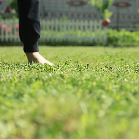 barefoot boy on summer green grass