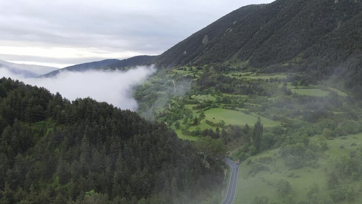 veduta aerea di una grande e bellissima vallata nei pirenei circondata da una montagna maestosa e boscosa con tutti i tipi di pini