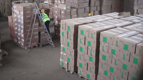 two warehouse men wearing helmets and reflective vests, one of them places cardboard boxes and the other carries a wheelbarrow