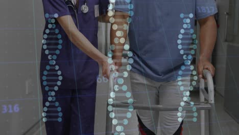 animación de cadenas de adn y datos sobre diversas mujeres médicas con pacientes masculinos utilizando el marco de caminar.