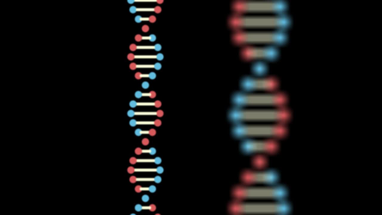 2D animation of DNA on a black background. The focus moves from the front to the back. 60FPS