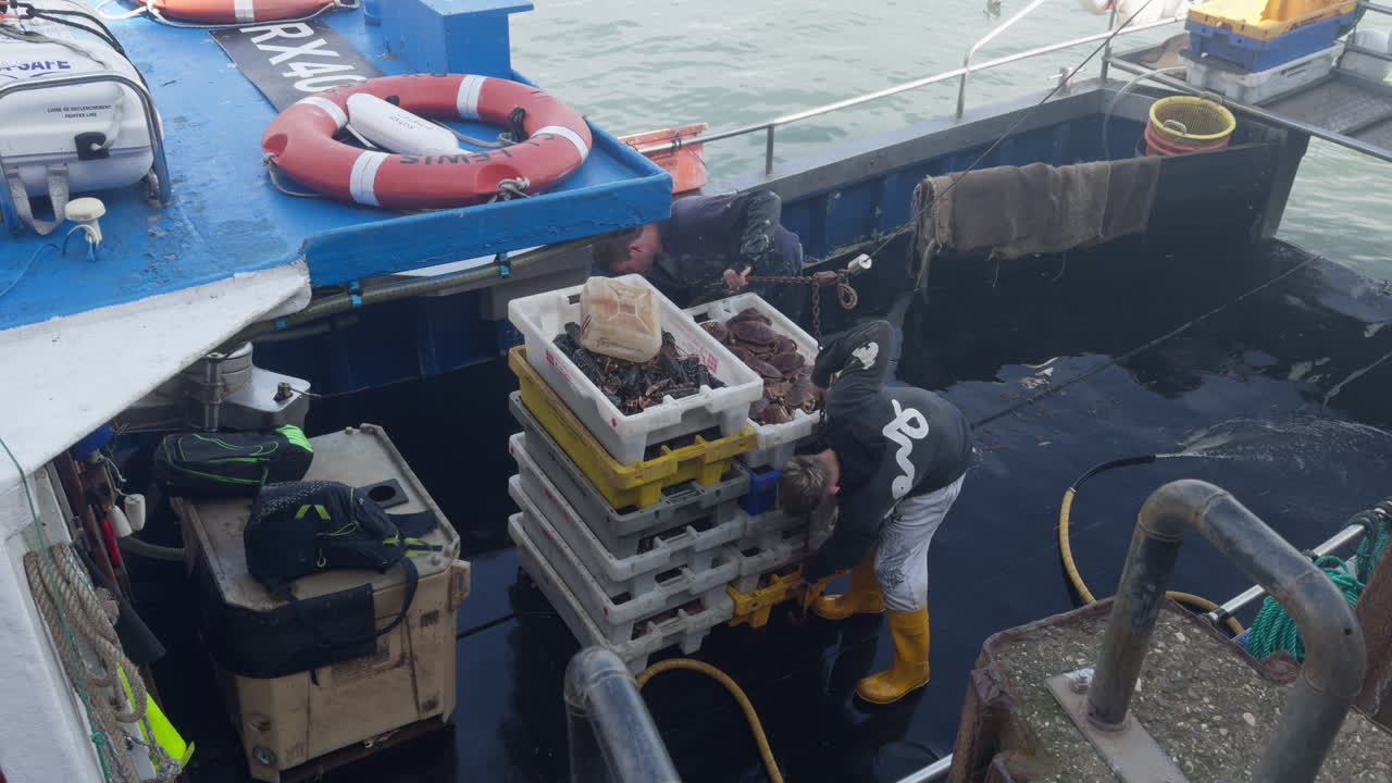 Fishermen unloading fresh catch from their boat at the harbour in a coastal town