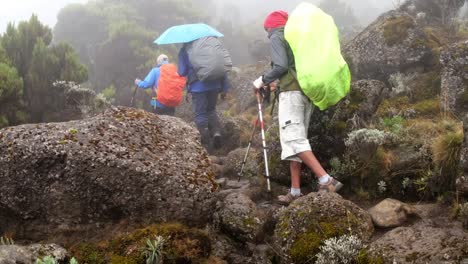 hikers walk with backpacks and trekking poles while trekking mount kilimanjaro in fog