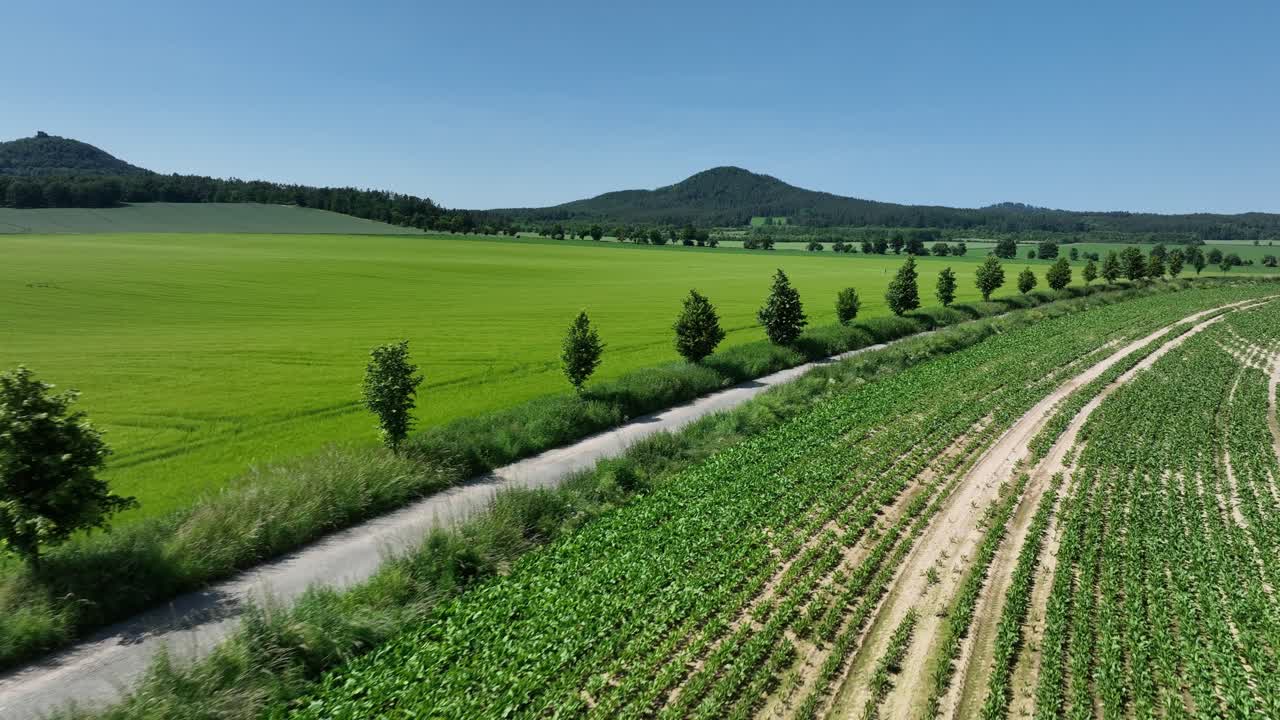 Drone zoom in following the winding route along fields, lined with trees and patterns on land