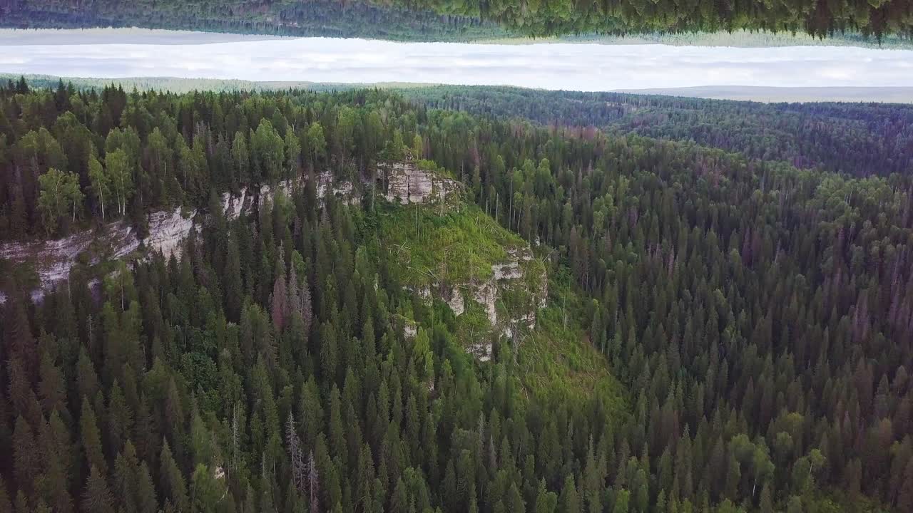 Aerial View of a Forest with Reflection Effect