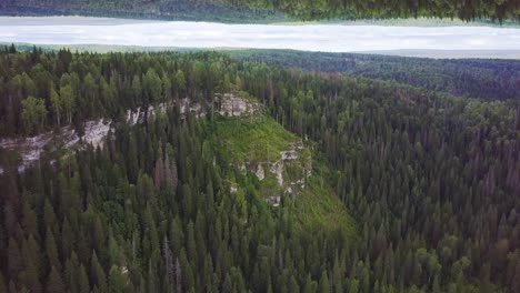 aerial view of a forest with reflection effect