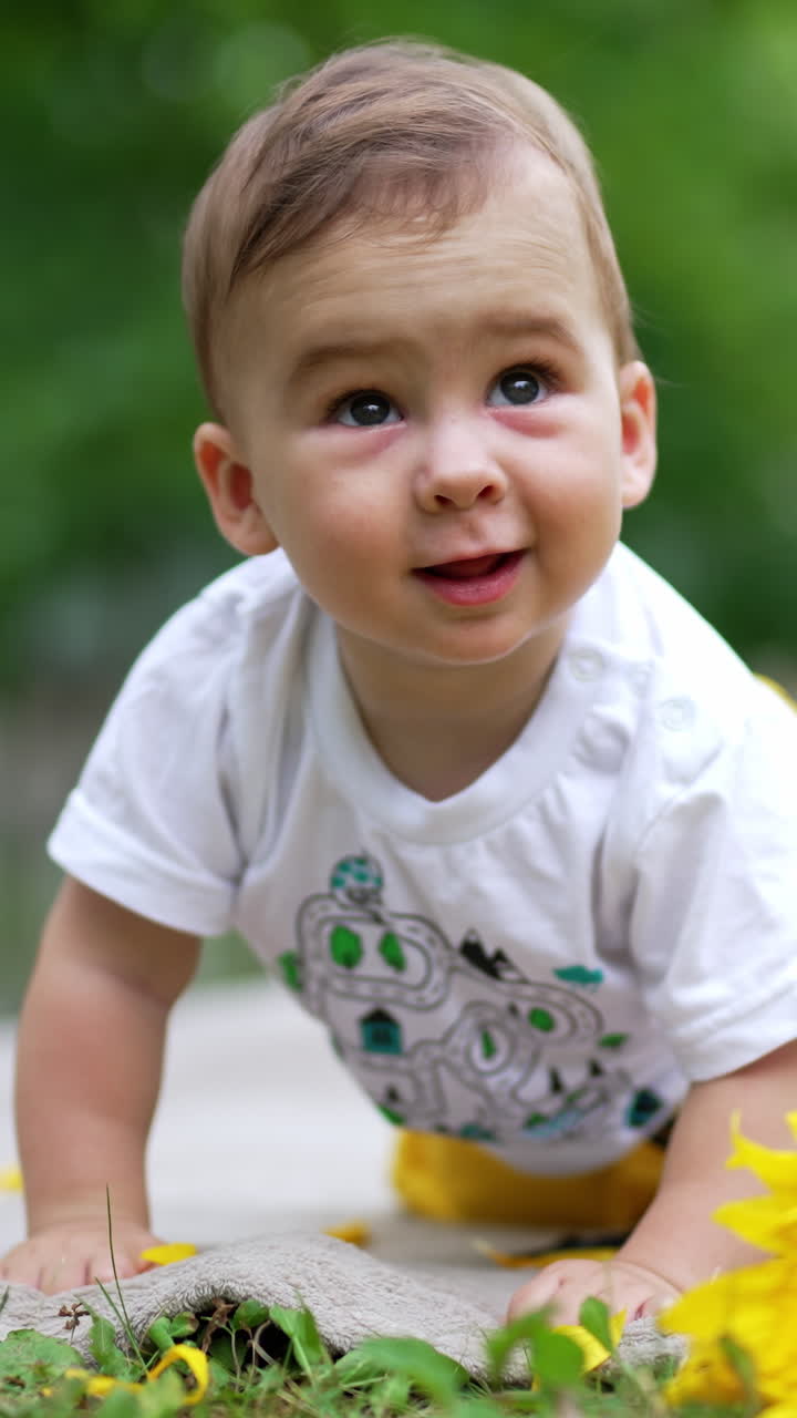 Adorable kid standing on all four and swaying. Baby spending time outdoors in summer. Sunflowers at foreground. Blurred backdrop. Vertical video