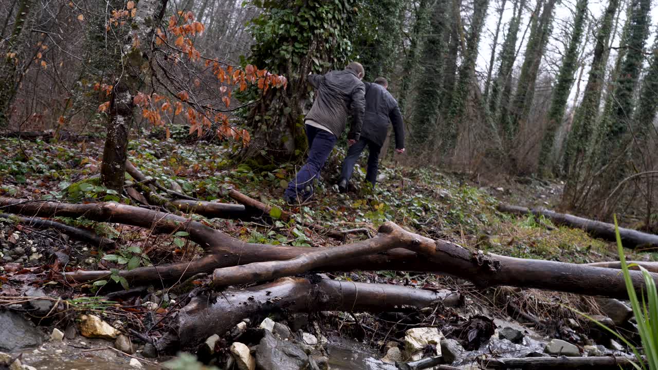 숲 속 의 하천 에서 산책 하는 사람 들
