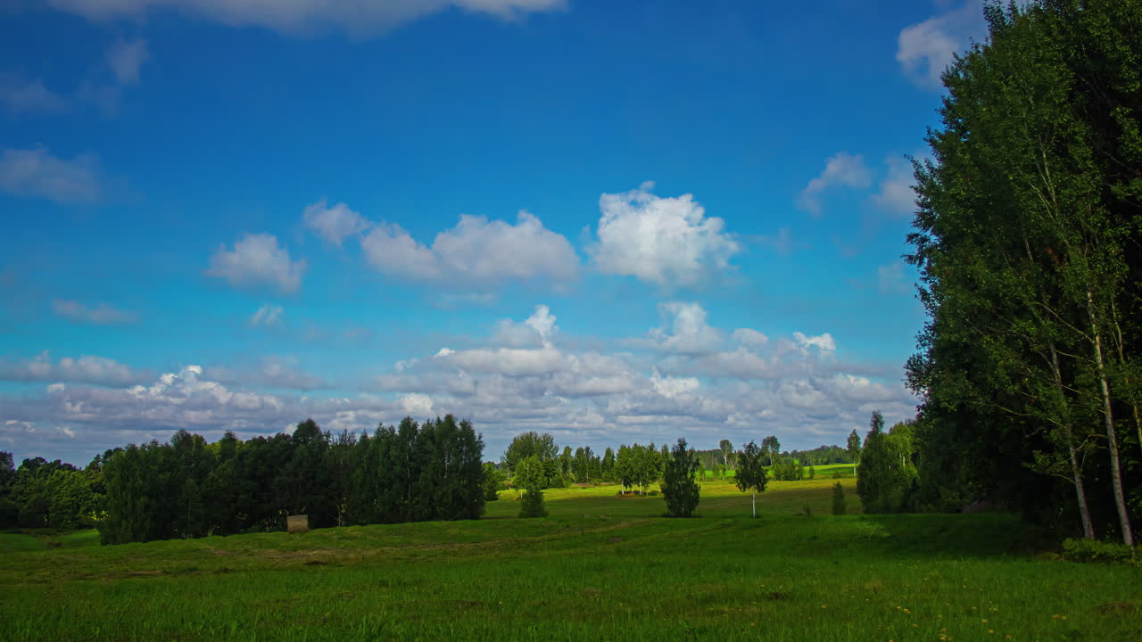 lapso de tiempo de las nubes que se mueven rápidamente sobre un pasto de hierba