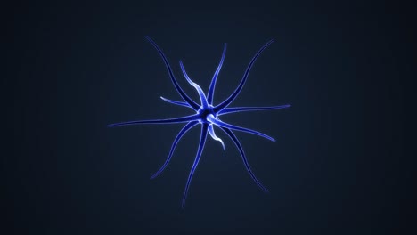 3d animation of neuron on dark blue background. the nerve cell glows red.