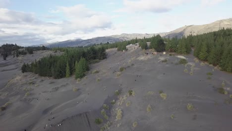 Desert-looking-hill-slope-with-pine-tree-forest-on-top,-aerial-fly-towards-view