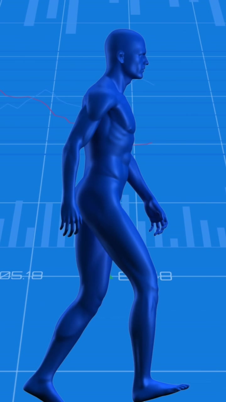 Animation of human body model walking over statistical data processing against blue background