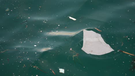 plastic waste in the ocean