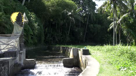 irrigation canal and rice field, bali indonesia