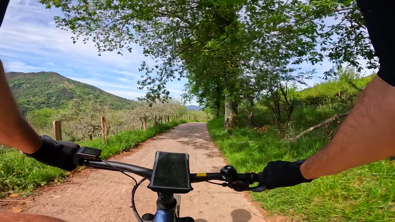POV mountain biking on a nature trail