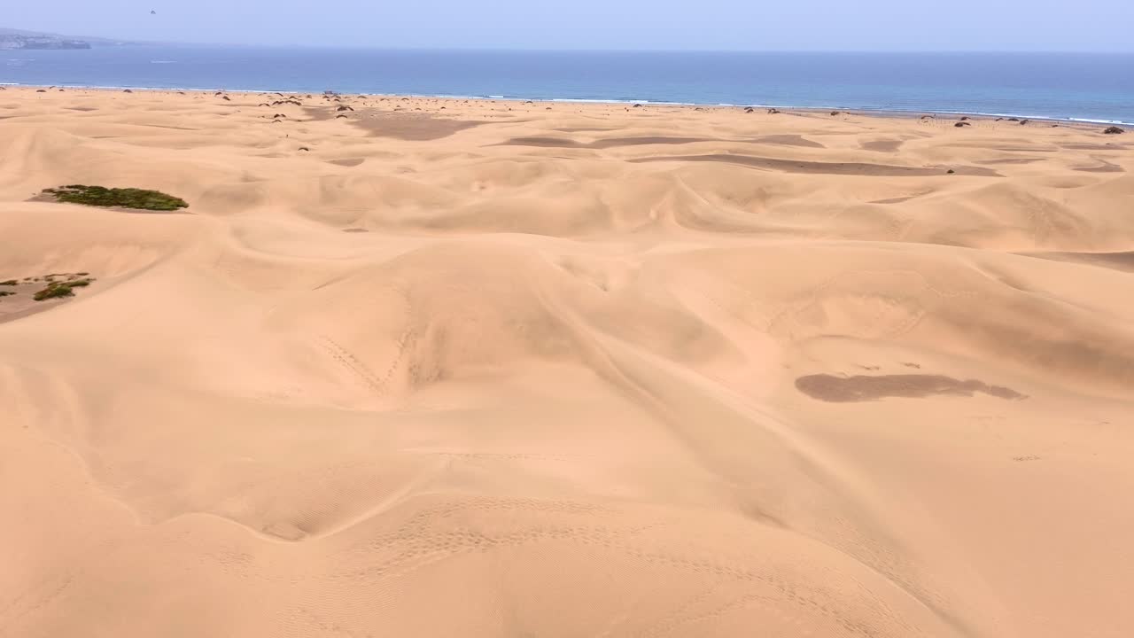 Sand dunes desert against seascape in Maspalomas Gran Canaria deserts near seashore. Aerial drone view of tourists walking thorugh the dunes of Maspalomas in Gran Canaria during a windy day.