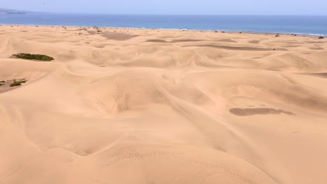 sand dunes desert against seascape in maspalomas gran canaria deserts near seashore. aerial drone view of tourists walking thorugh the dunes of maspalomas in gran canaria during a windy day.