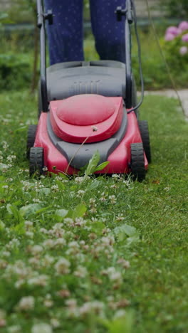 woman cutting grass in his yard with corded electric lawn mower.. vertical video