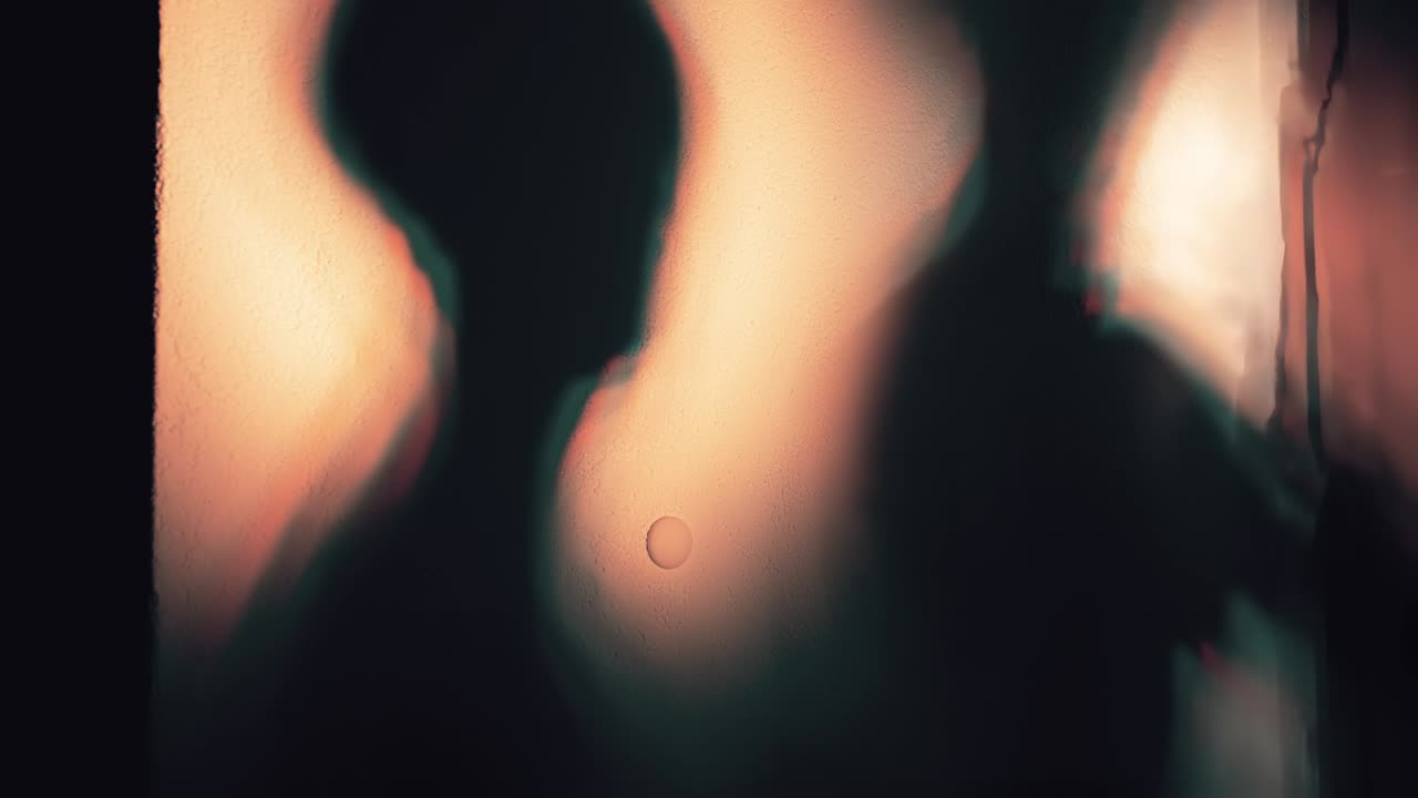 Shadowy Figures Behind a Textured Surface