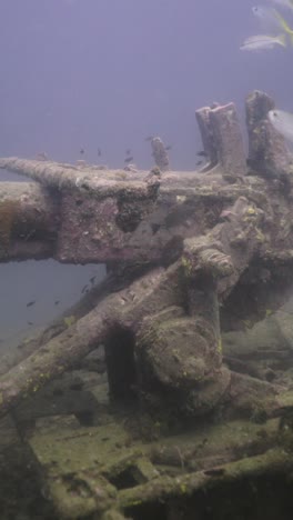 underwater shipwreck remains