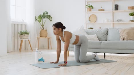 mujer haciendo un ejercicio de fitness en casa