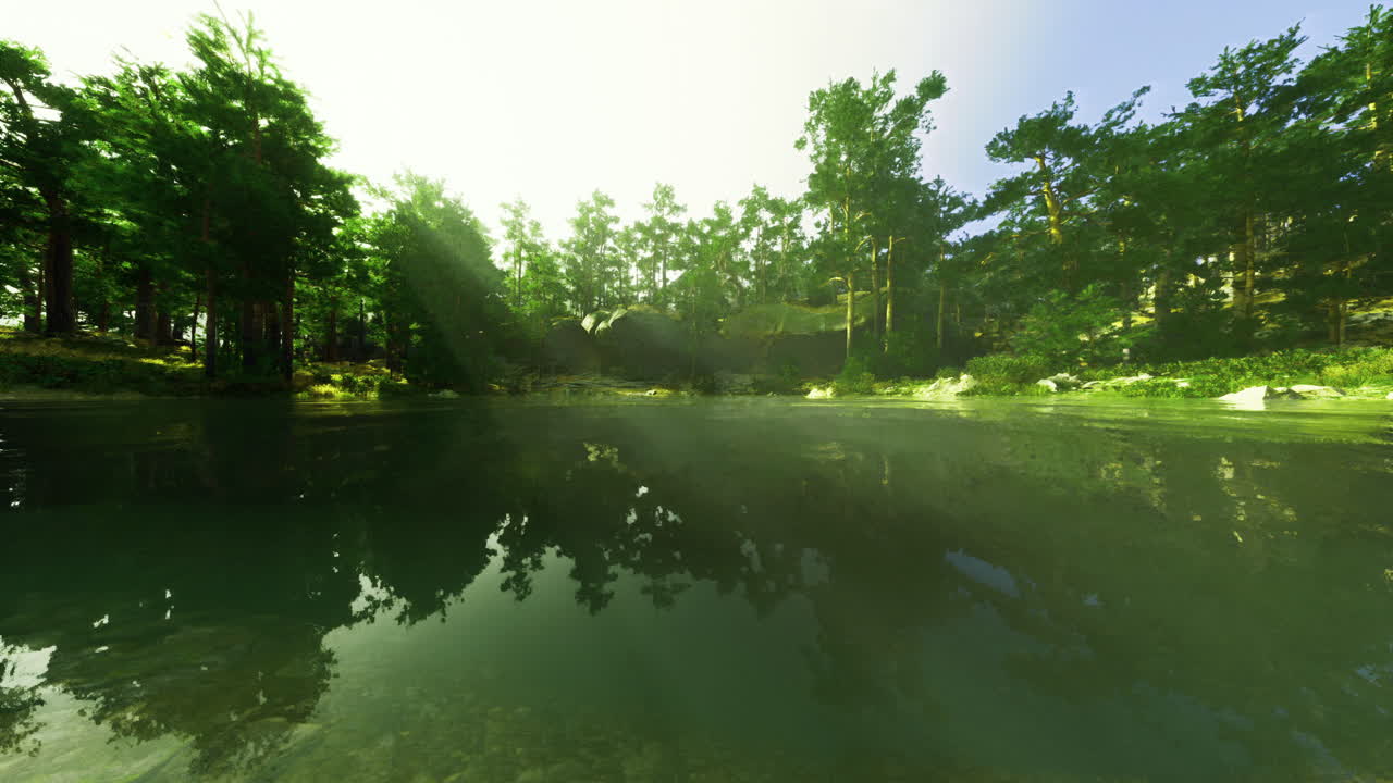 Natural forest landscape reflecting on calm water at sunrise in serene setting