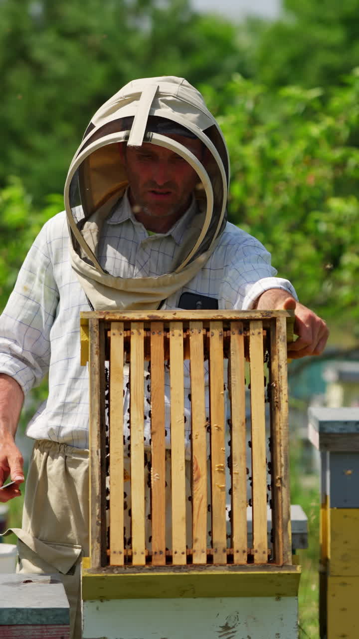 Mid-aged beekeeper lifts the upper part of a hive. Apiarist uses smoker to scare off the bees. Blurred nature backdrop. Vertical video