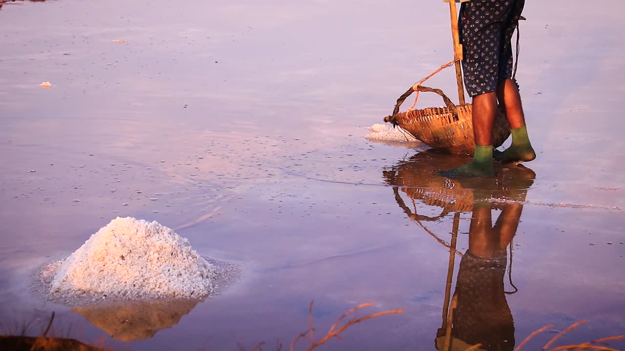 Man harvesting salt by hand in the famous salt farms of Kampot, Cambodia