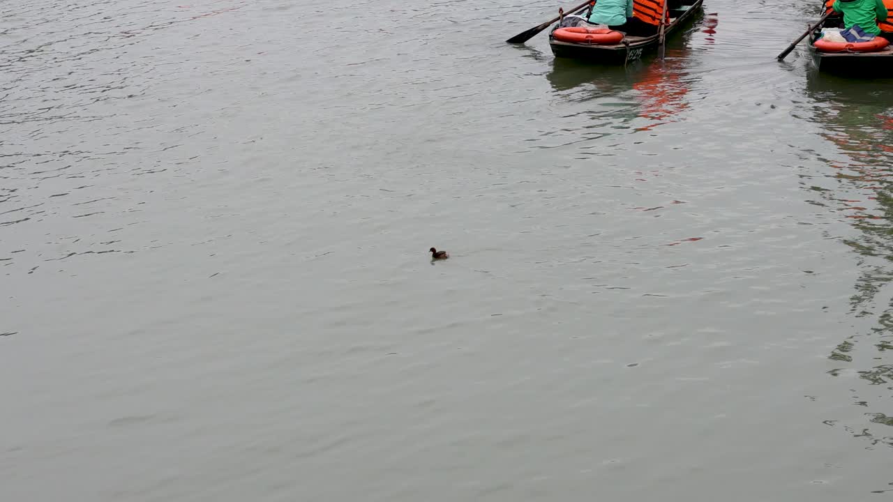 turistas remando botes en un río tranquilo