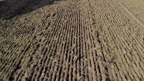 aerial shot on swowing field after harvest, brown area waiting for gorwing plants, 4k by brone