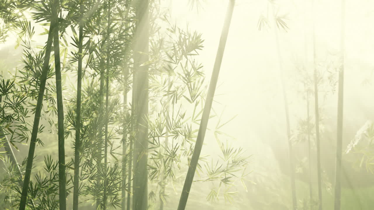 selvas tropicales del sudeste asiático