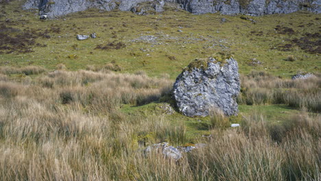 Zeitraffer-Der-Ländlichen-Und-Abgelegenen-Landschaft-Aus-Gras,-Bäumen-Und-Felsen-Während-Des-Tages-In-Den-Hügeln-Von-Carrowkeel-In-Der-Grafschaft-Sligo,-Irland