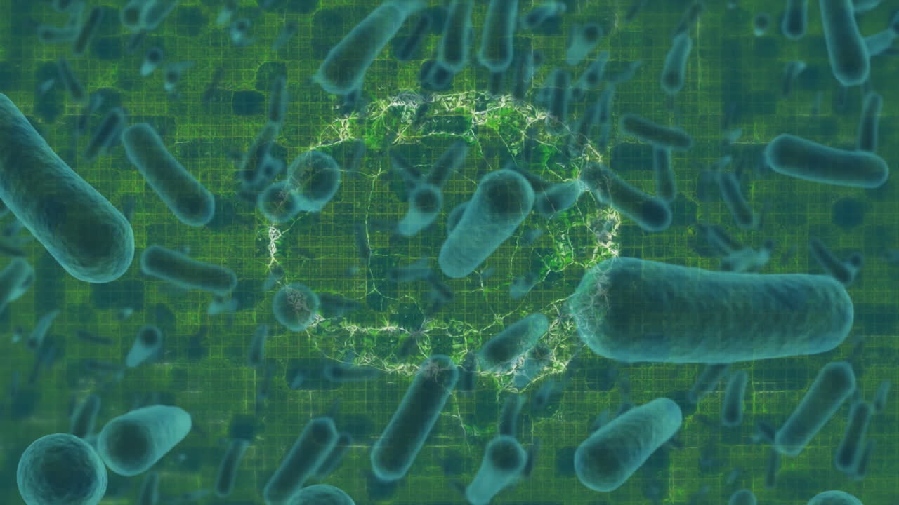초록색 배경에 인간의 뇌가 회전하는 것에 대한 여러 혈관의 디지털 애니메이션