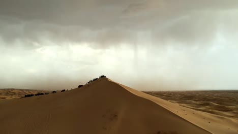 vehículos en la parte superior de las dunas en el desierto