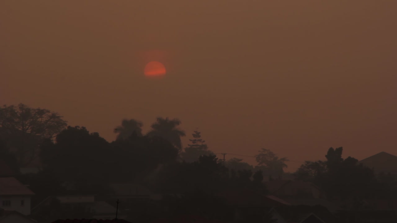 조류와 함께 스모그 아프리카 일출