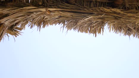 thatch roof for background
