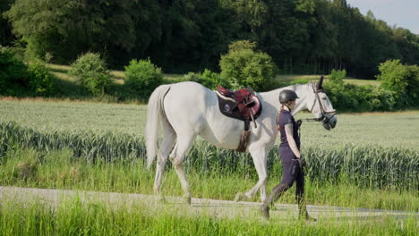 Un-Jinete-Está-Paseando-Un-Caballo-Blanco