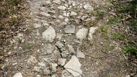 walking along the mountain path on a sunny spring day