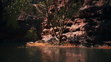 lago powell en un día soleado de verano