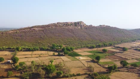 Luftaufnahme-Einer-Drohne-Von-Einem-Hügel,-Umgeben-Von-Abgeerntetem-Weizenfeld-In-Einem-Ländlichen-Dorf-In-Orchha,-Madhya-Pradesh,-Indien