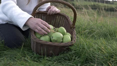 Woman-choosing-apples-from-basket-in-countryside-medium-shot