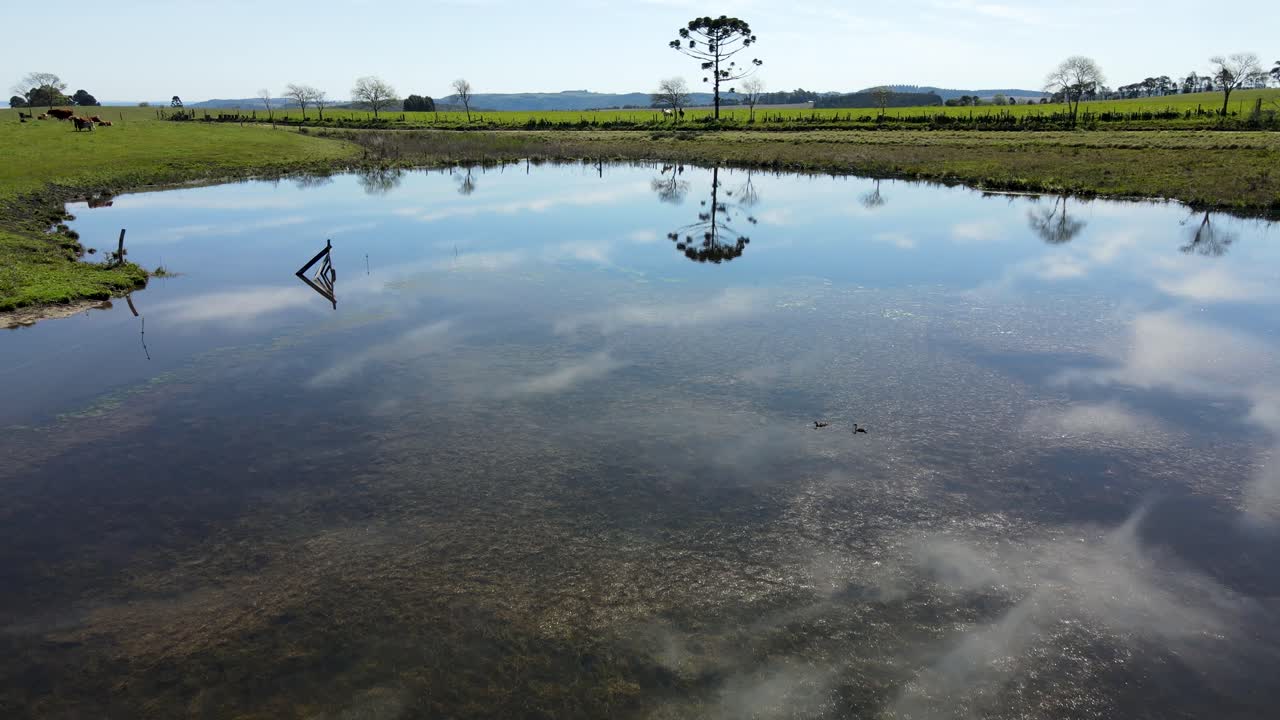 Reflection of the sky in a calm water pond on a farm, drone view