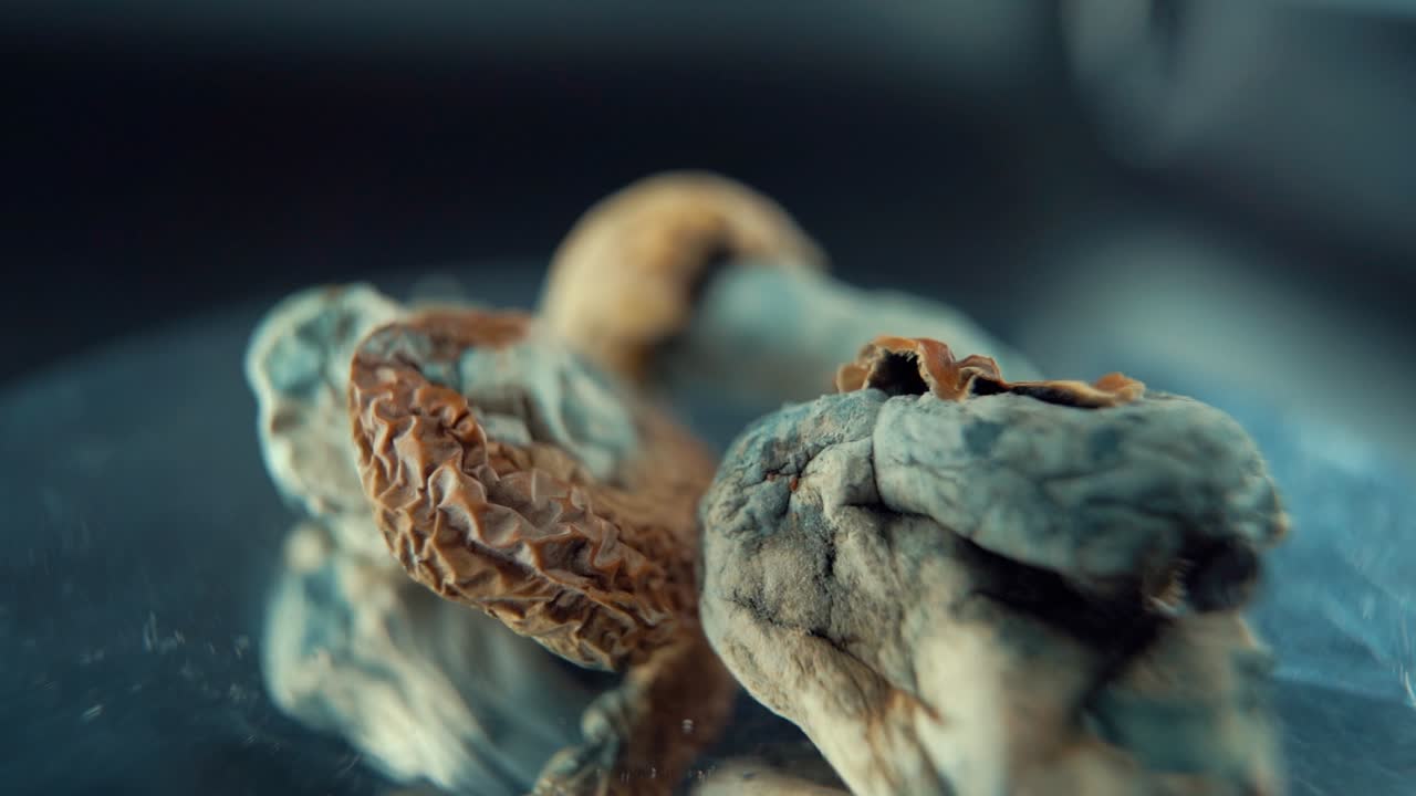 마법의 정신활성 물질인 psilocybin 환각의 매크로 영화 촬영 노란색 빨간색 모자를 가진 건조한 버섯, 회전하는 반사 스탠드, 스튜디오 조명, 풀 hd, 슈퍼 슬로우 모션 120 fps
