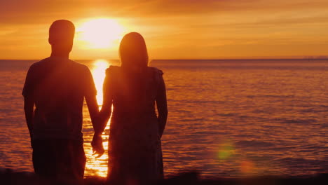 romantic multi-ethnic couple admires the scenic sunset over the sea holding hands rear view