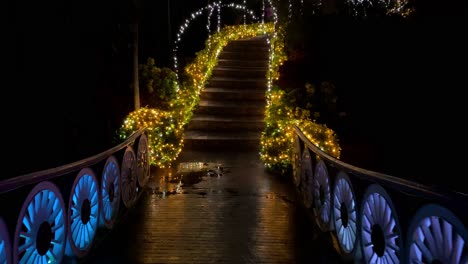 4khd-Navidad-2020-Jardín-Botánico-Okinawa-Japón-29