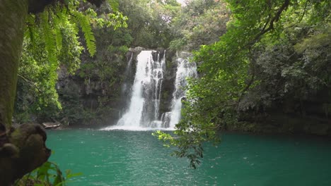 Wasserblauer-Wasserfall-Im-Regenwald-Von-Mauritius