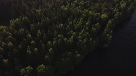 Aerial-of-a-lake-and-forest-in-Sweden