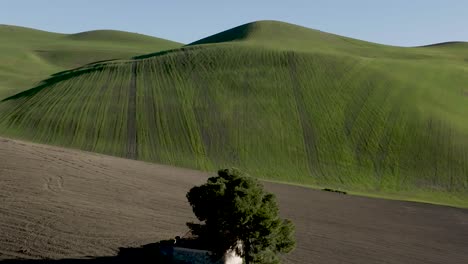 Italian-hut-with-Tree-in-green-and-brown-field-flyover-aerial